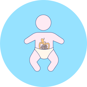 Digestive icon